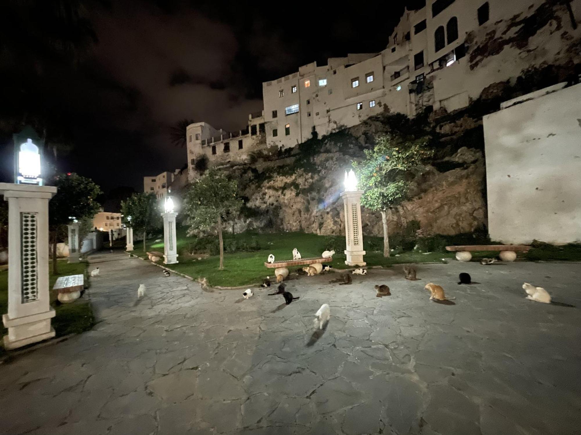 Casa Marwan Hostel Tétouan Ngoại thất bức ảnh